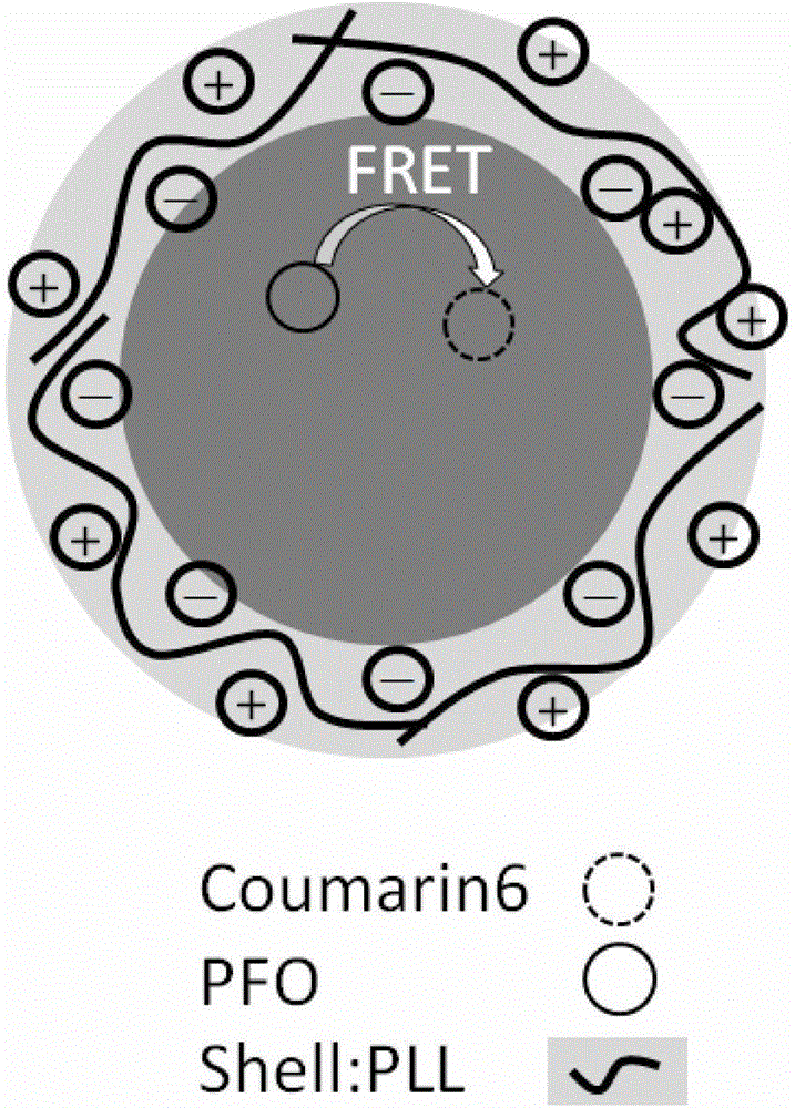 A fluorescent capillary biosensor for glucose