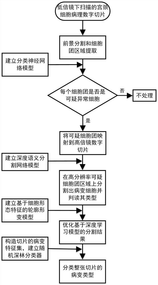 A combined high and low resolution image classification system for cervical cell slices