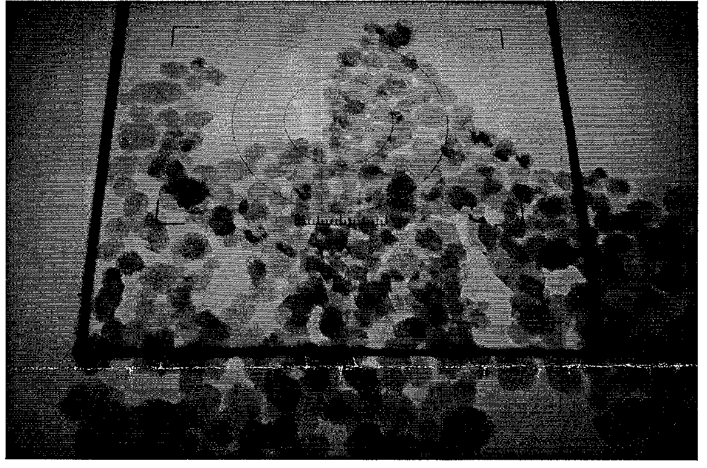 Method for preparing nano-level active calcium carbonate for rubber and plastic