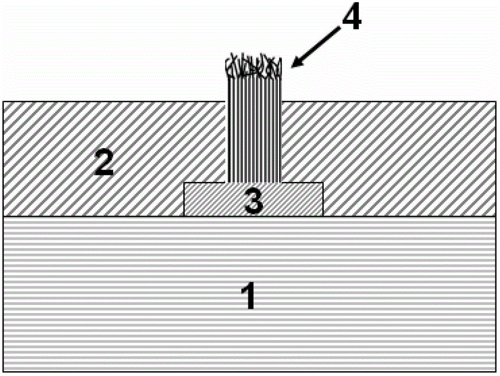 Method for improving electrical interconnection characteristic of carbon nano tube