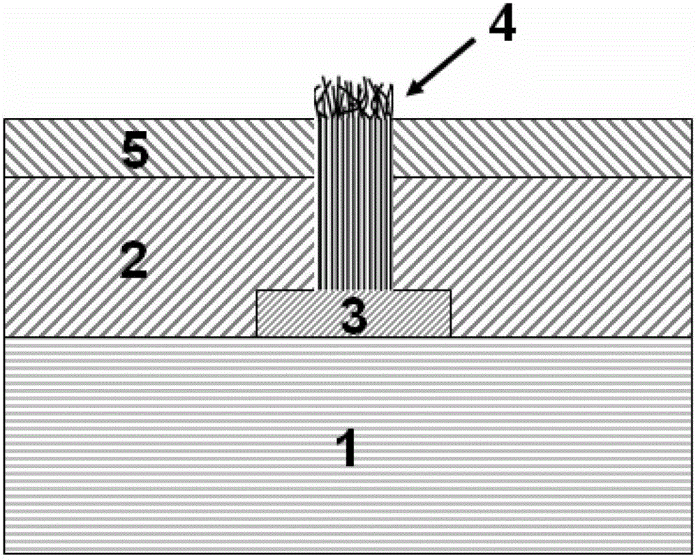 Method for improving electrical interconnection characteristic of carbon nano tube