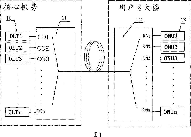 Hybrid Passive Optical Network System