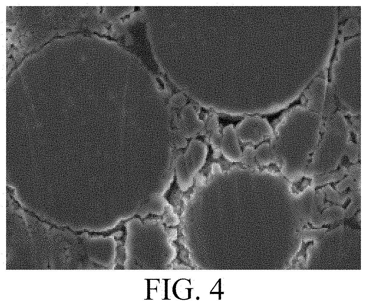 Cathode material, and electrochemical device including the same