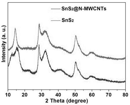 Process method for synthesizing tin disulfide nanosheet by taking nitrogen-doped multi-walled carbon nanotube as carrier