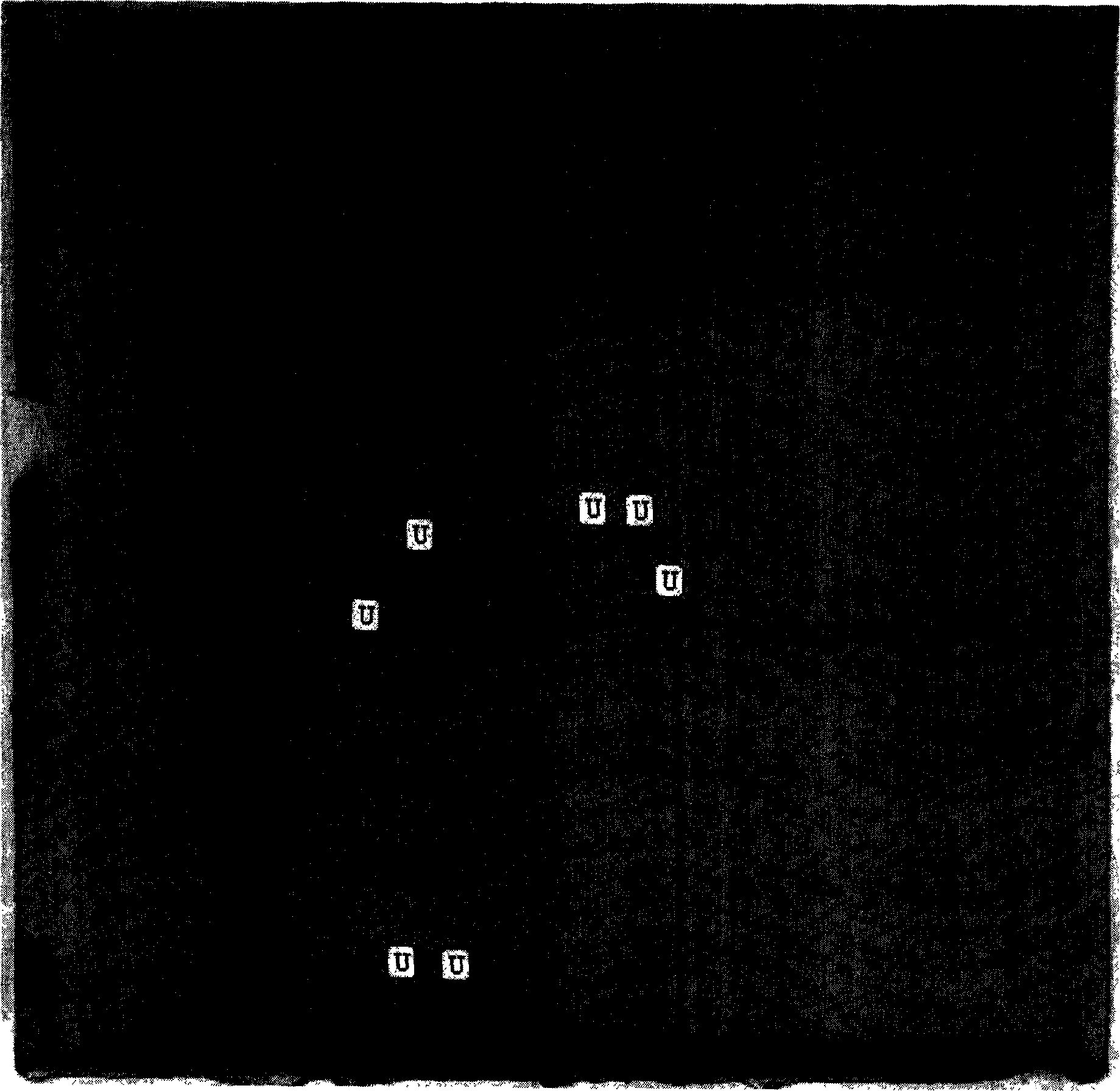 Microbial L. rhamnosus GM-020 and its use for treating obesity