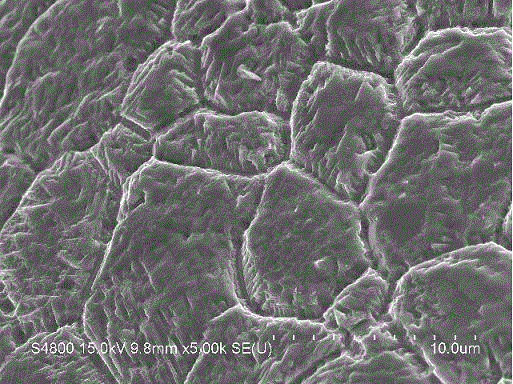 Nickel phosphide / graphene composite film preparing method