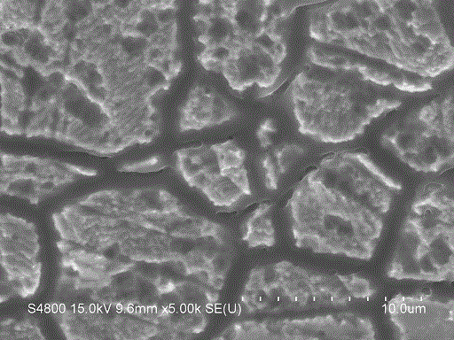 Nickel phosphide / graphene composite film preparing method