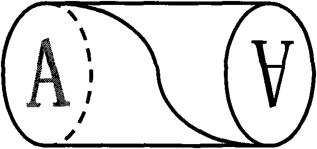 Rotating and twisting device of optical fiber image inverter