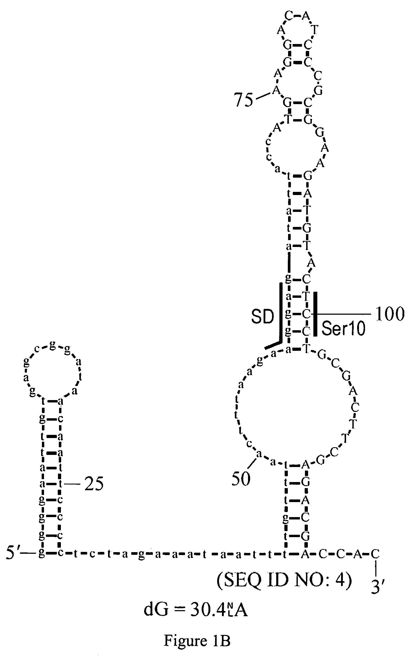 Systems and methods for constructing frequency lookup tables for expression systems