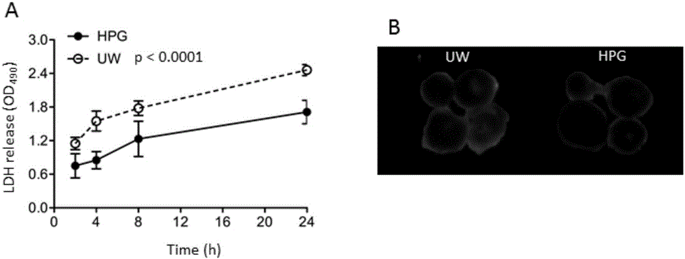 Polymer based transplant preservation solution