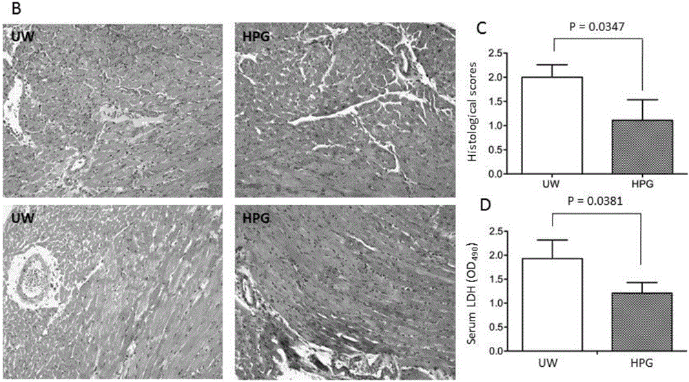 Polymer based transplant preservation solution