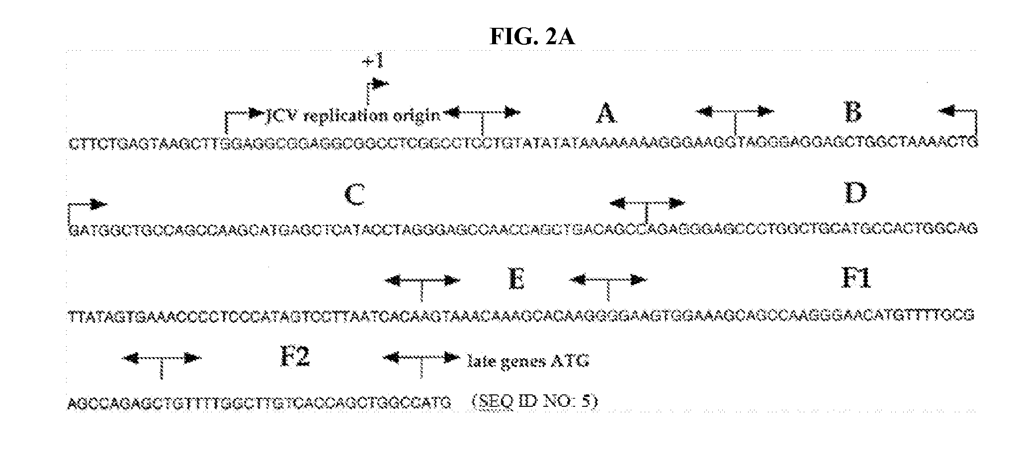 High resolution melting analysis assay for the detection of viral DNA