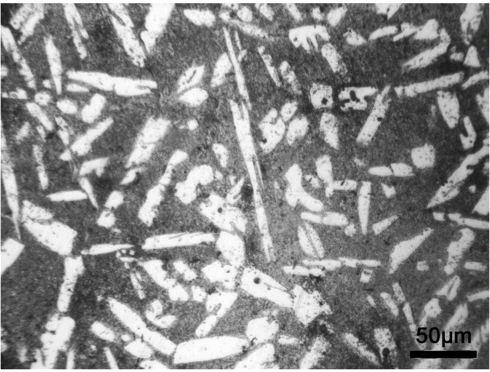 Magnesium-lithium-aluminum-neodymium alloy