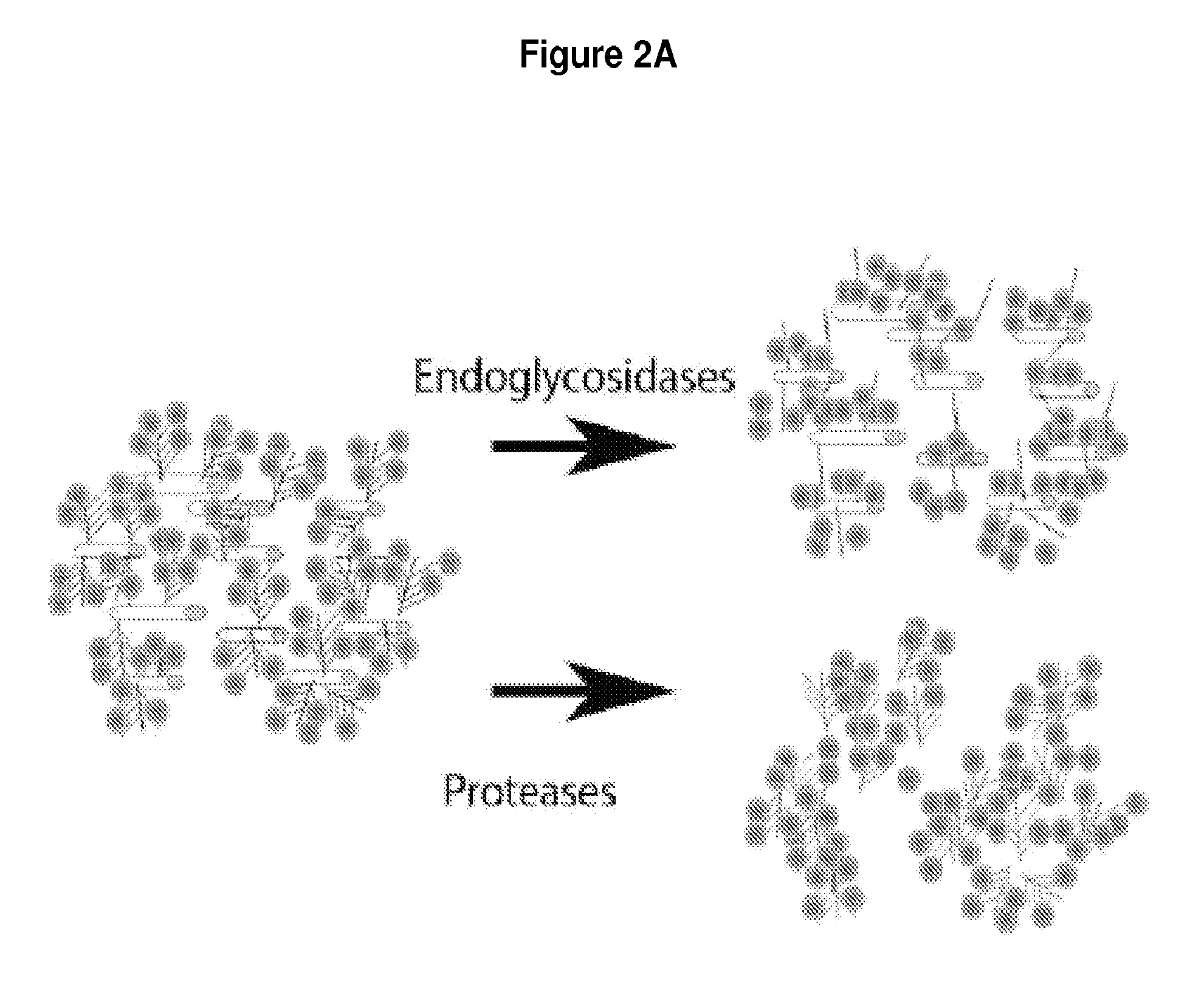 Methods and Compositions Relating to Reporter Gels for Use in MRI Techniques