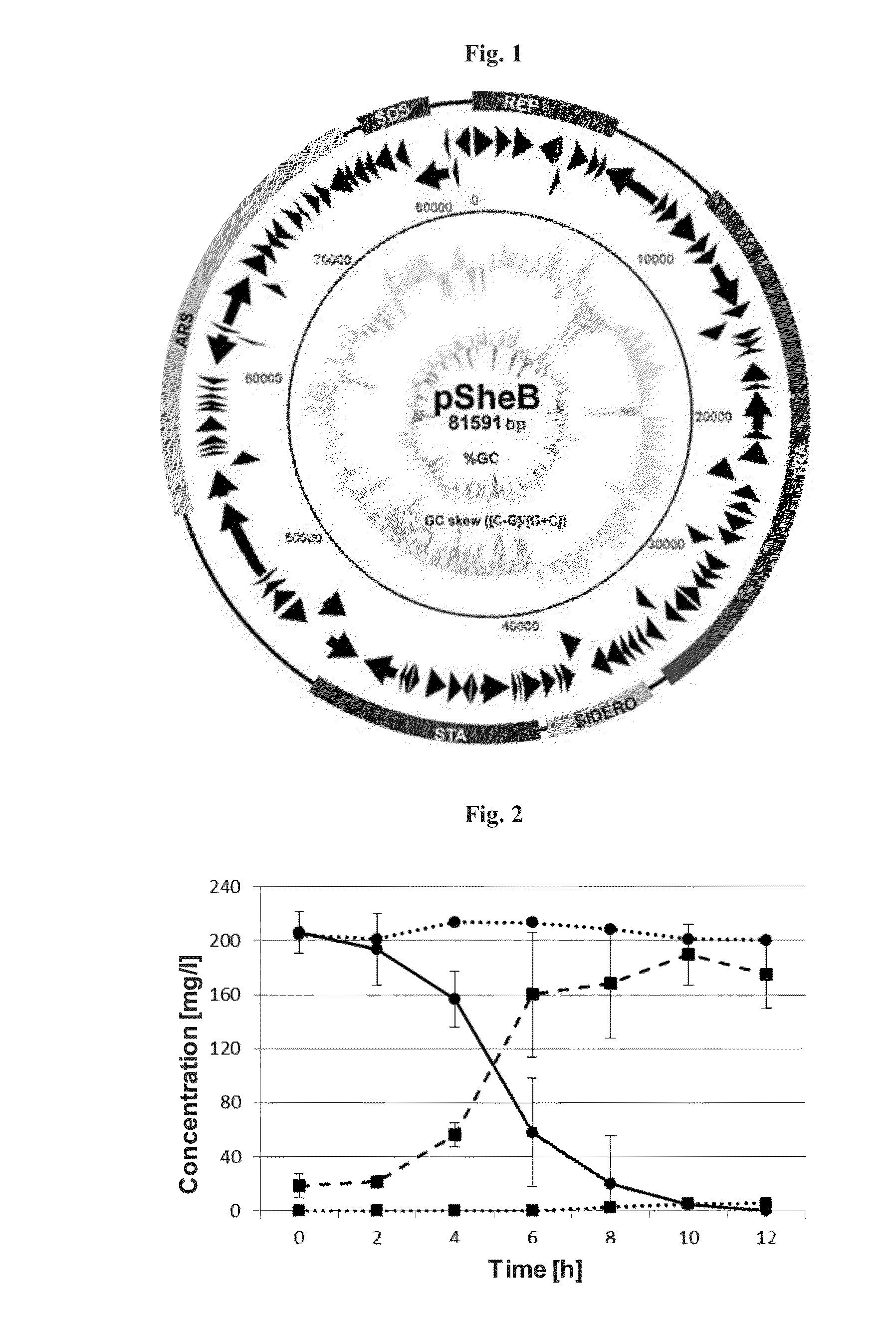 Removal of arsenic using a dissimilatory arsenic reductase