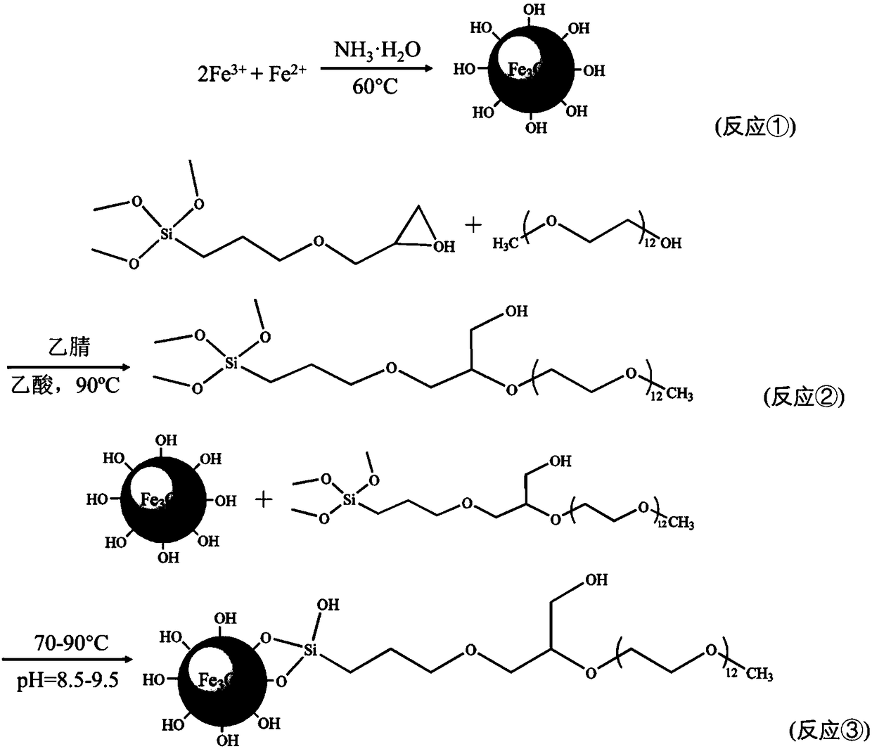 Preparation method and application of hydrophilic magnetic nanometer material