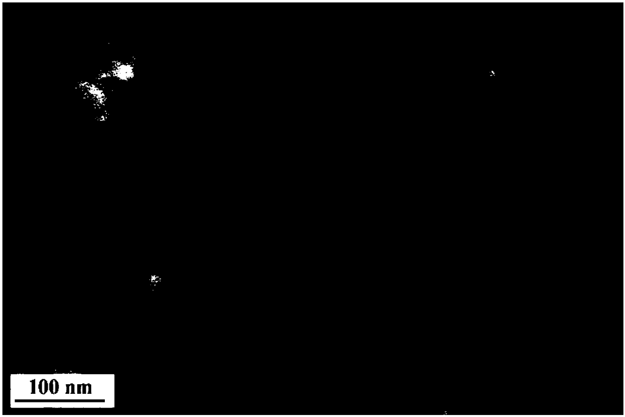 Preparation method and application of hydrophilic magnetic nanometer material