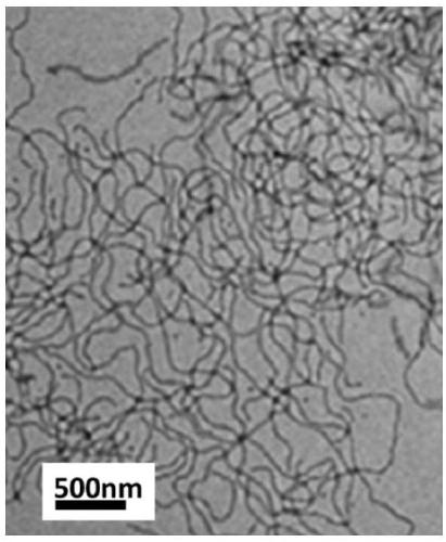 A kind of amphiphilic polycarboxylate cement dispersant and preparation method thereof