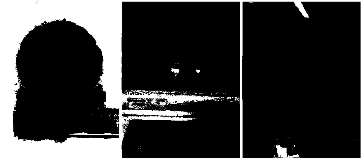 In-situ nitrogen-doped porous carbon nanofiber electrode material and macroscopic preparation method and application thereof