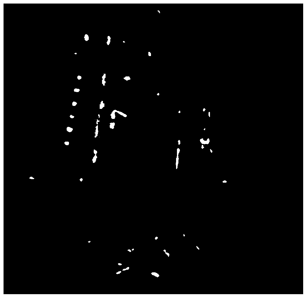 Time-space correlation-based Video SAR moving target detection method