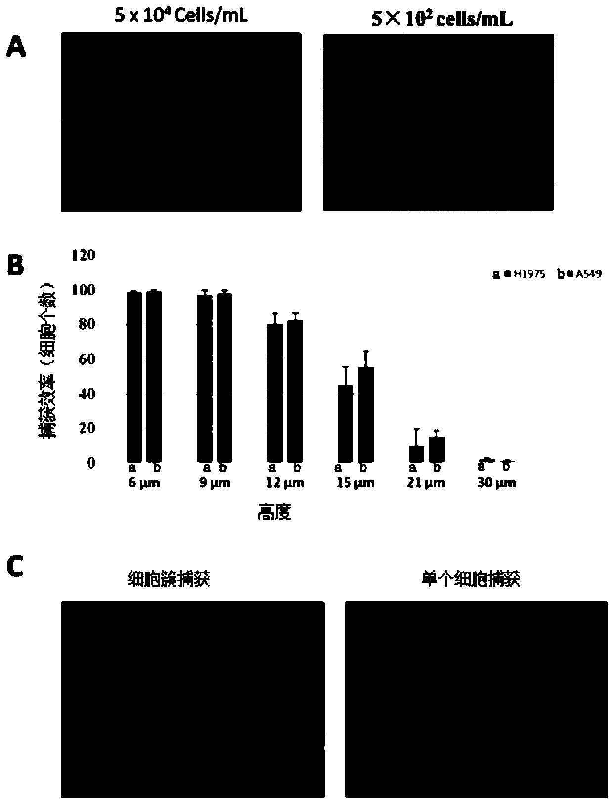 Microfluidic chips and cell screening methods