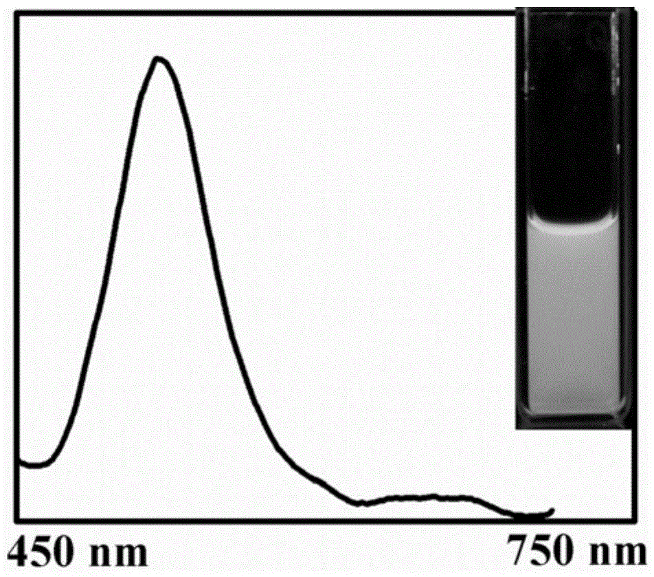 A dual-emission fluorescent chemical sensor and its preparation method and application