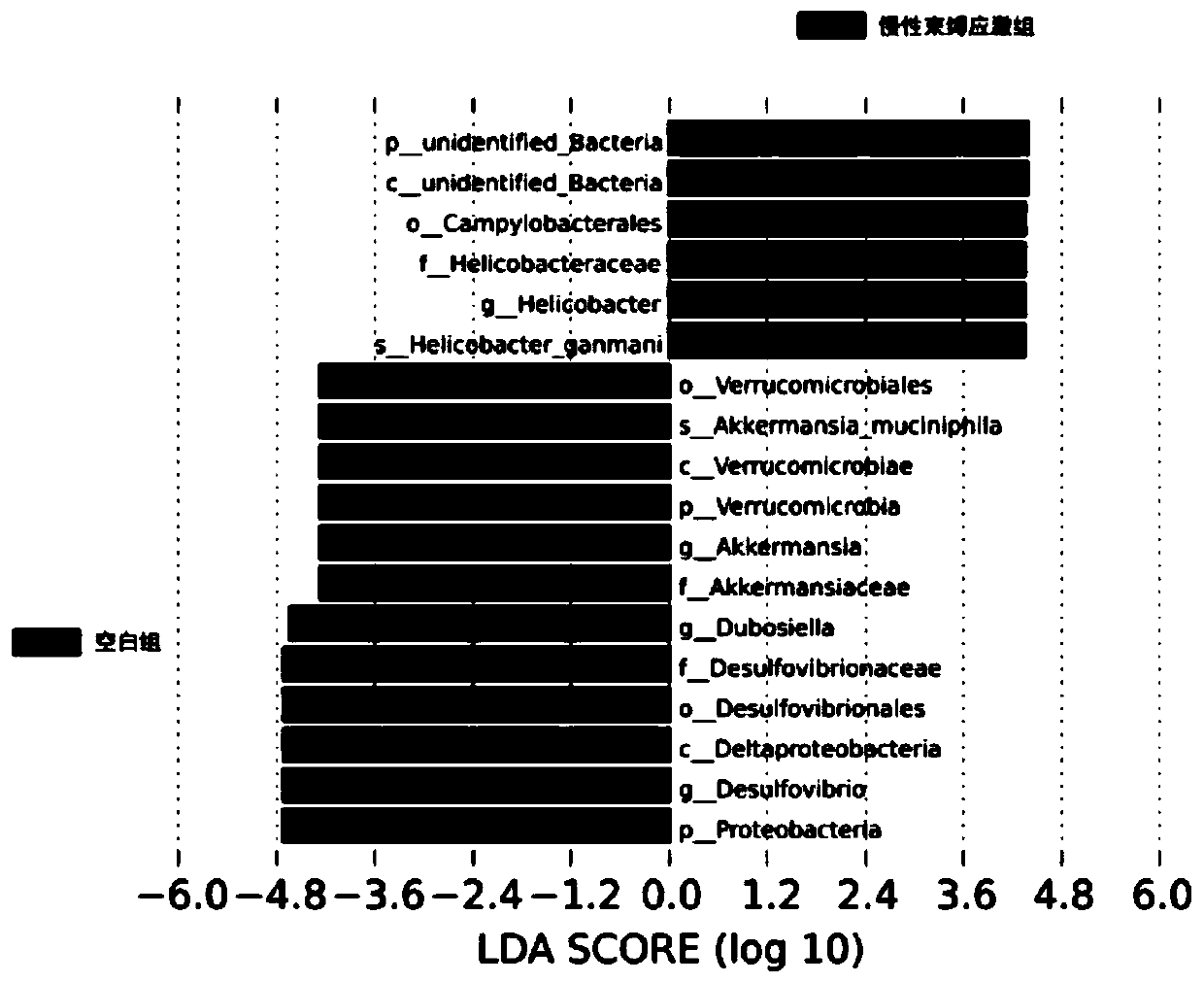 Application of Akkermansia Muciniphila in preparing anti-depression drug or health-care product