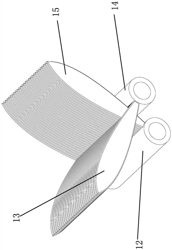 A kind of preparation method of rice paper protoplasm