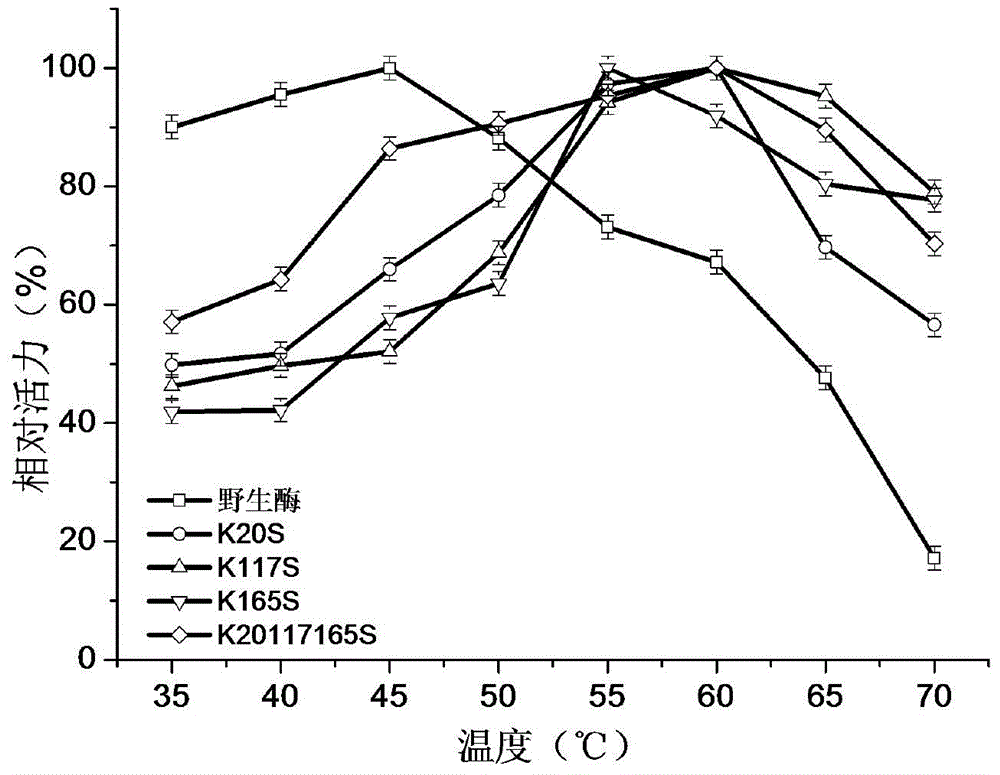 1,3-1,4-Beta-glucanase mutant