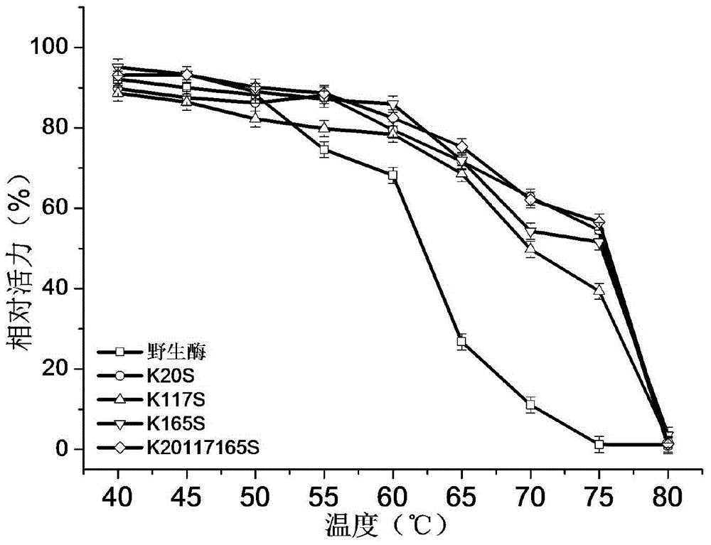 1,3-1,4-Beta-glucanase mutant