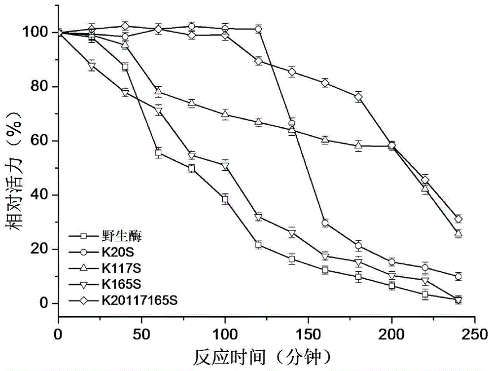 1,3-1,4-Beta-glucanase mutant