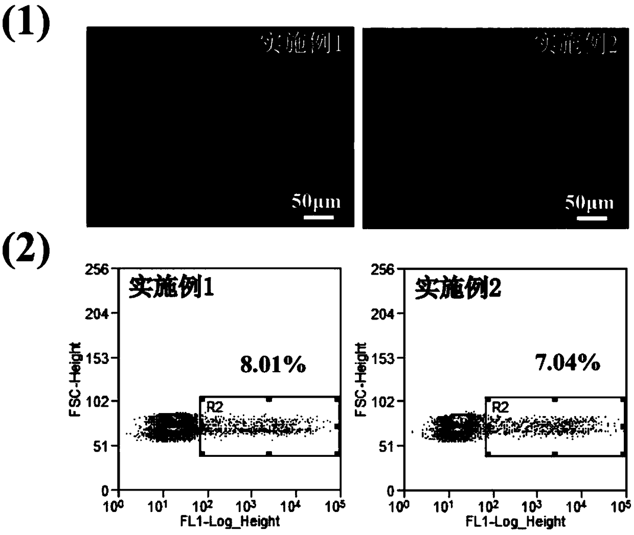 Erythrocyte membrane surface modification gene delivery system as well as preparation method and application