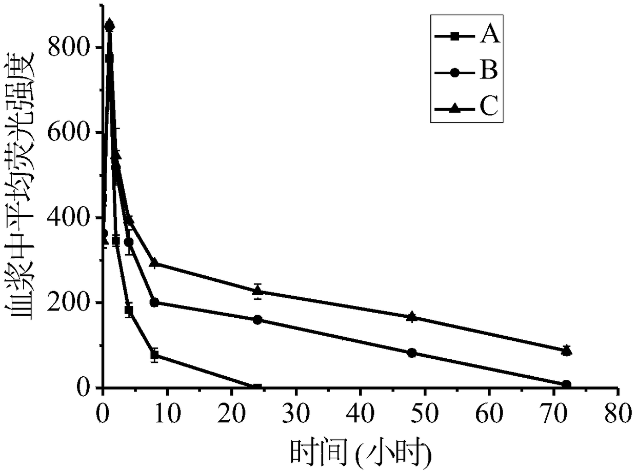 Erythrocyte membrane surface modification gene delivery system as well as preparation method and application