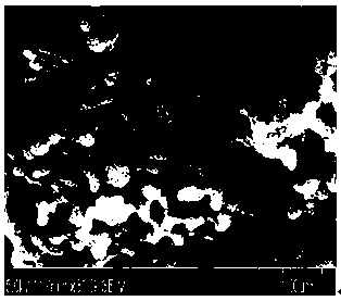 Photocuring biological ceramic composite material for 3D printing, and applications thereof, and printing system