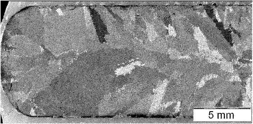 Method for preparing in-situ deformation Cu-Ag composite material by using magnetic field