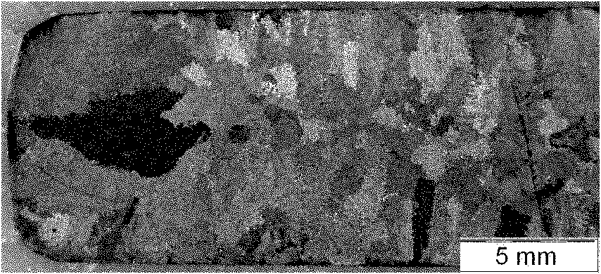 Method for preparing in-situ deformation Cu-Ag composite material by using magnetic field