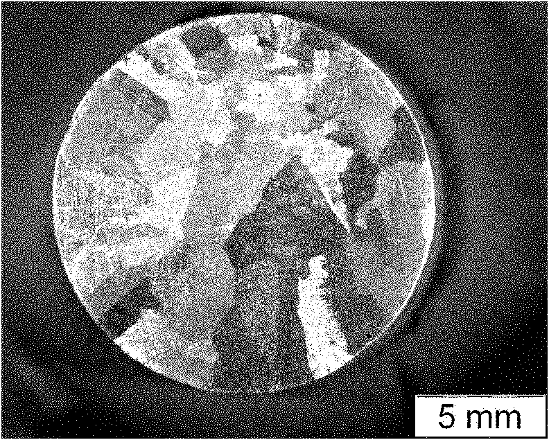 Method for preparing in-situ deformation Cu-Ag composite material by using magnetic field