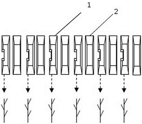 Strip plantation method capable of preventing twining of grain ears in mechanical millet harvesting