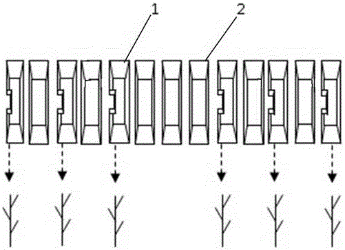 Strip plantation method capable of preventing twining of grain ears in mechanical millet harvesting