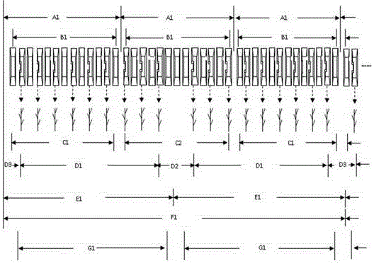 Strip plantation method capable of preventing twining of grain ears in mechanical millet harvesting