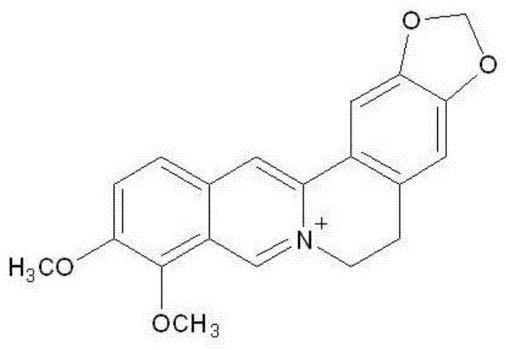 New application of berberine as agricultural fungicide