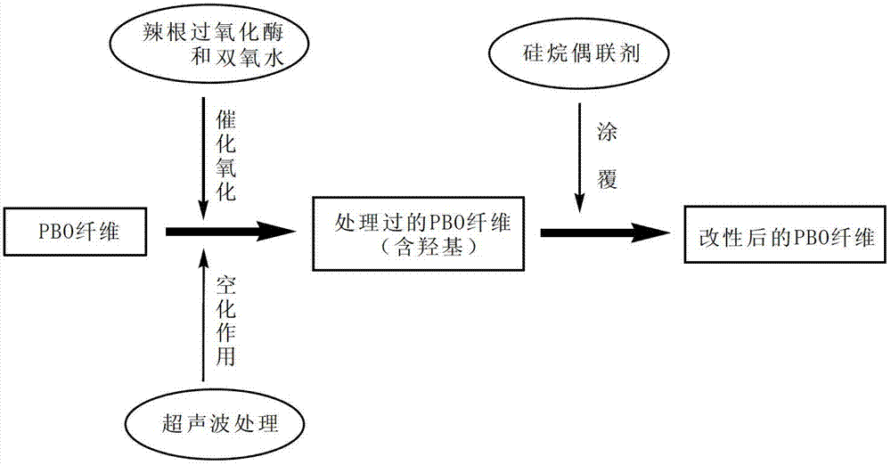 Surface modifying method of PBO (polybenzoxazole) fiber