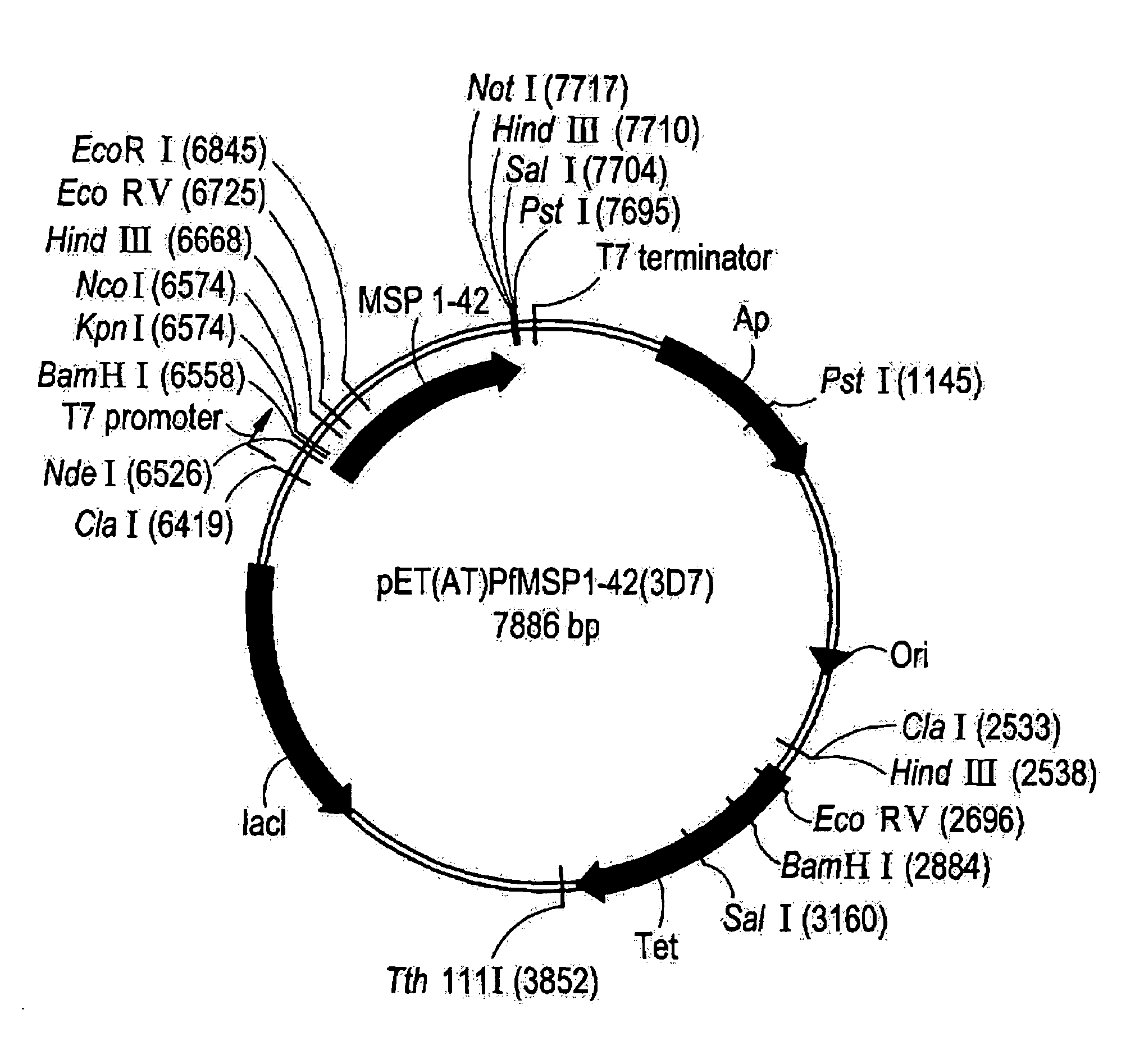 Recombinant P. falciparum merozoite protein-1 42 vaccine