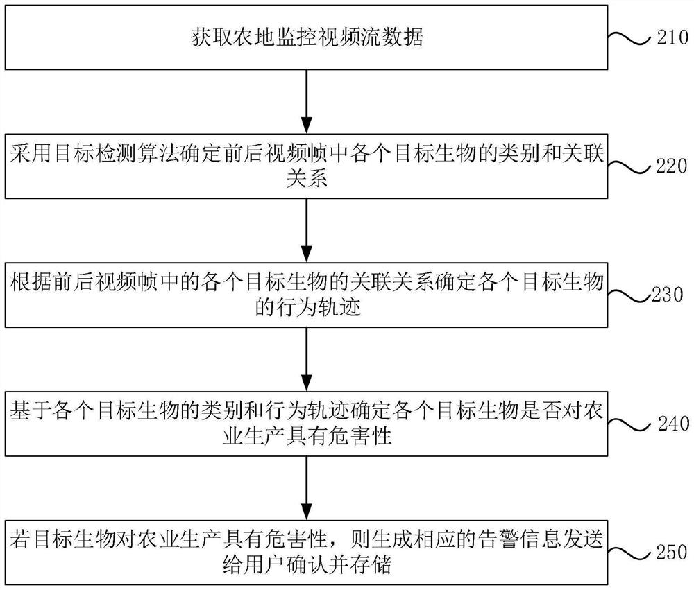 Farmland biological behavior monitoring and analyzing method, device and equipment based on video stream