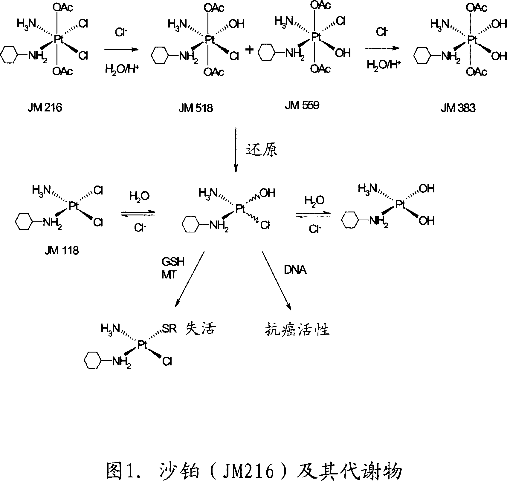 Anti-proliferative combination therapy comprising satraplatin or JM118 and a taxane