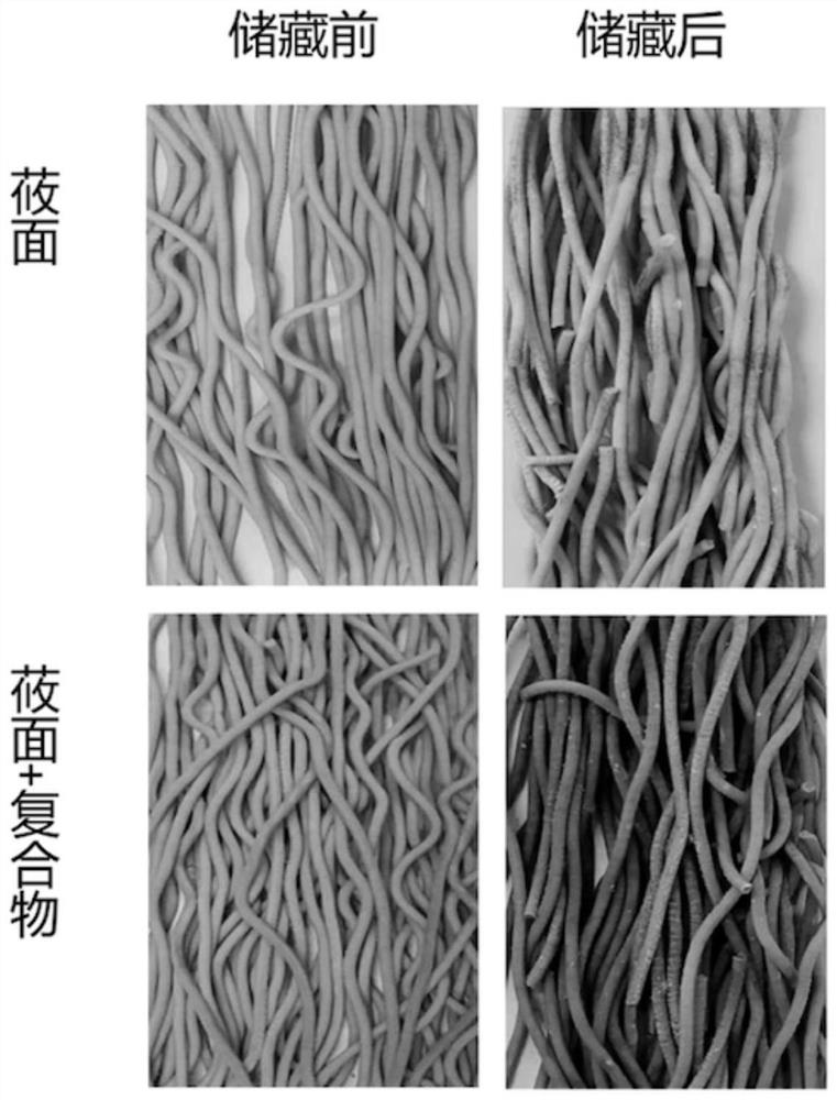 Polyphenol chitosan oligosaccharide compound as well as preparation method and application thereof