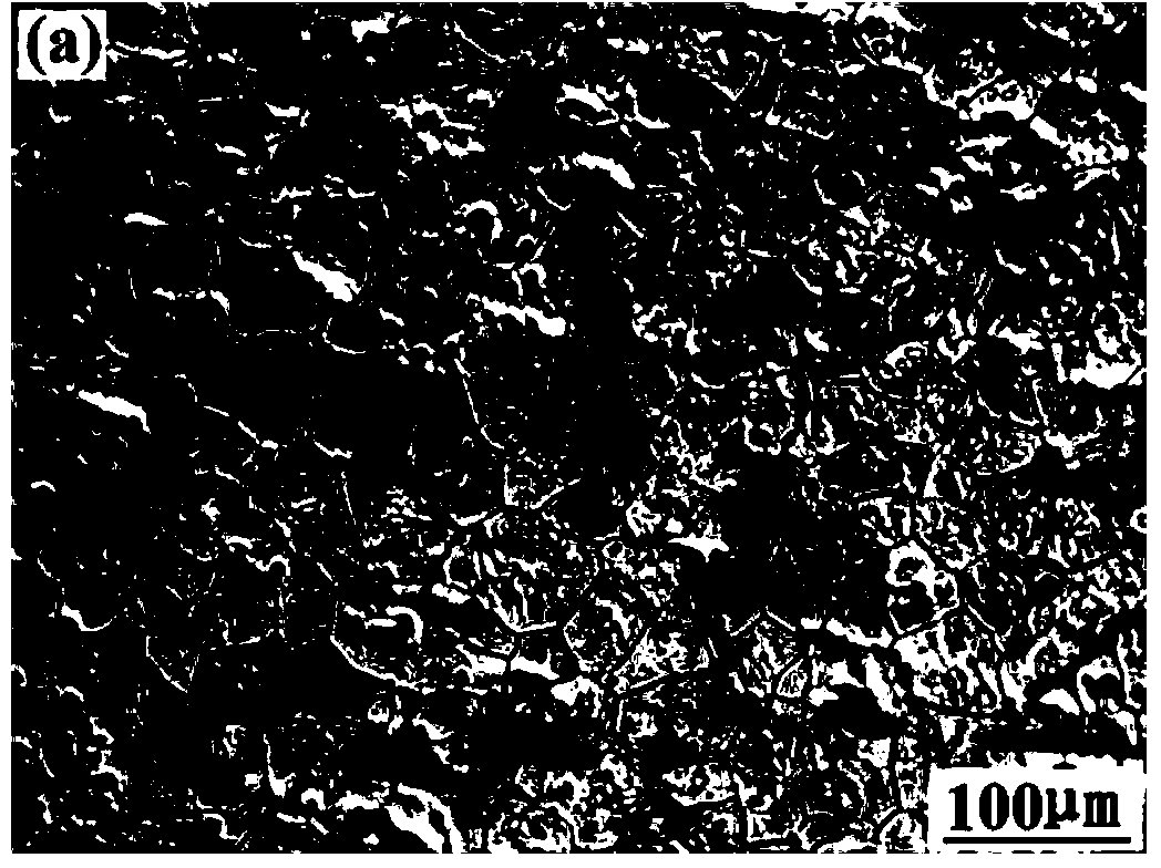 Magnesium alloy melt purification method