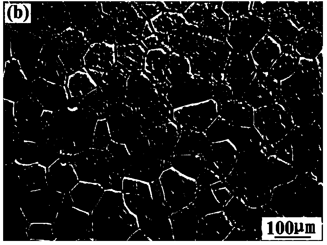 Magnesium alloy melt purification method