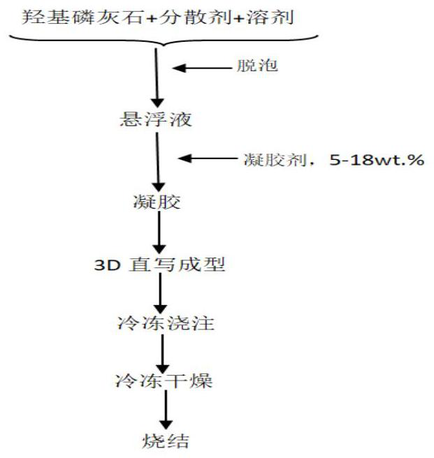 A hydroxyapatite porous ceramic with controllable macroscopic and microscopic structures, its preparation method and application