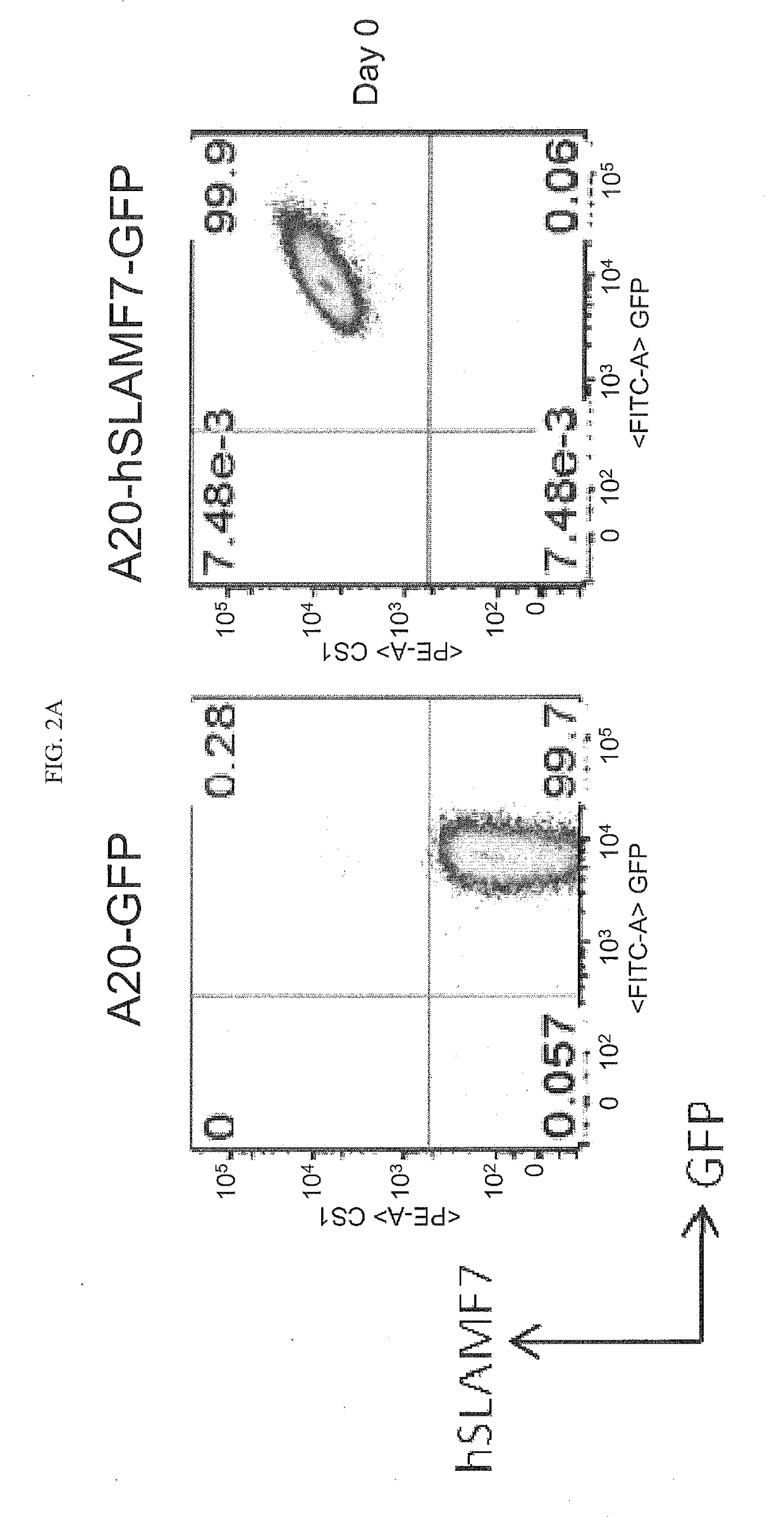 Combination of Anti-cs1 and Anti-pd1 antibodies to treat cancer (myeloma)